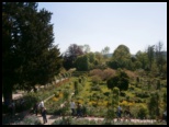 View of part of gardens from house at Giverney - Bill Pechey